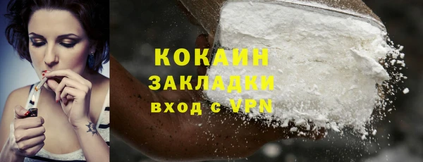 прущие крисы Новозыбков